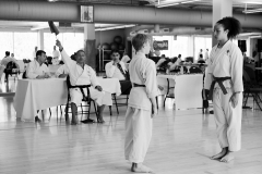 MiA_This-is-karate_20160514_0079