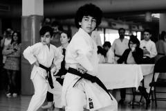 MiA_This-is-karate_20160514_9725